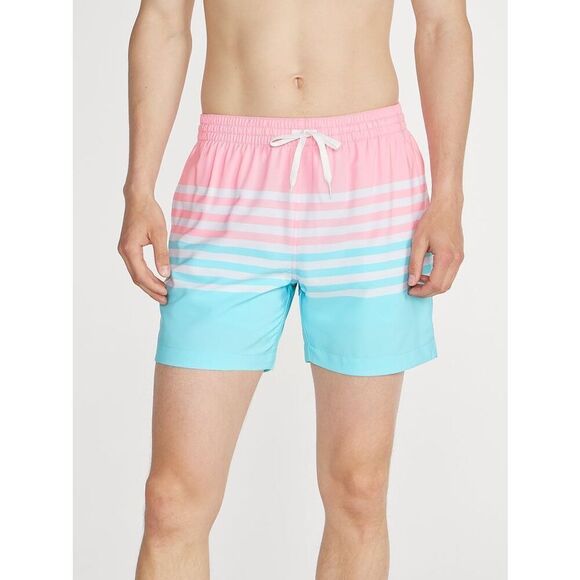 NWOT Chubbies On The Horizons Lined Classic Swim Trunk 5.5” Size Medium - Picture 1 of 5